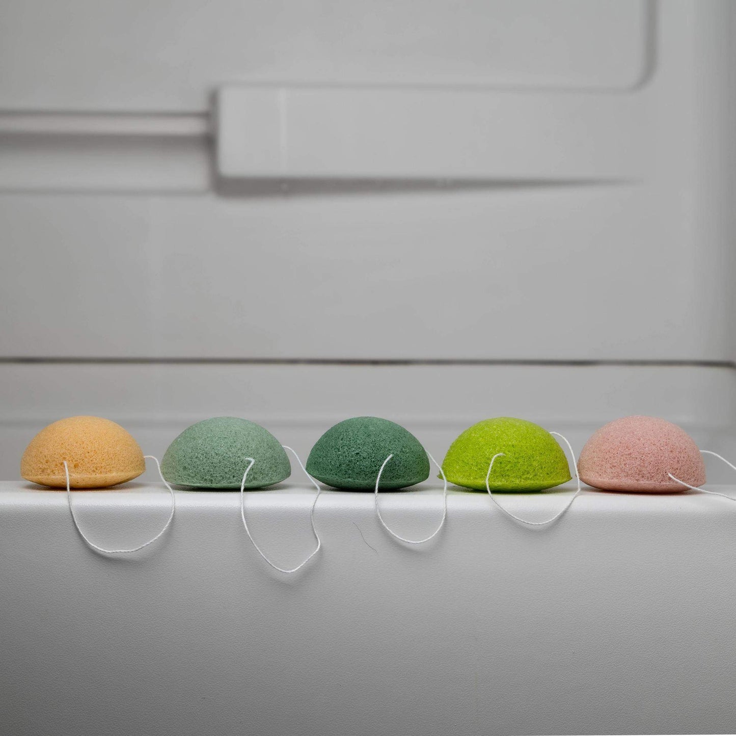 THE BIODEGRADABLE SPONGE SET