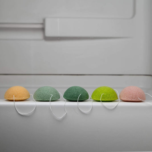 THE BIODEGRADABLE SPONGE SET