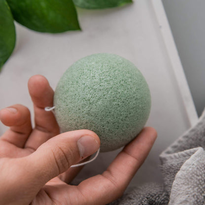 THE BIODEGRADABLE SPONGE SET