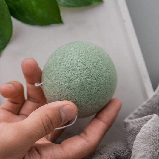 THE BIODEGRADABLE SPONGE SET
